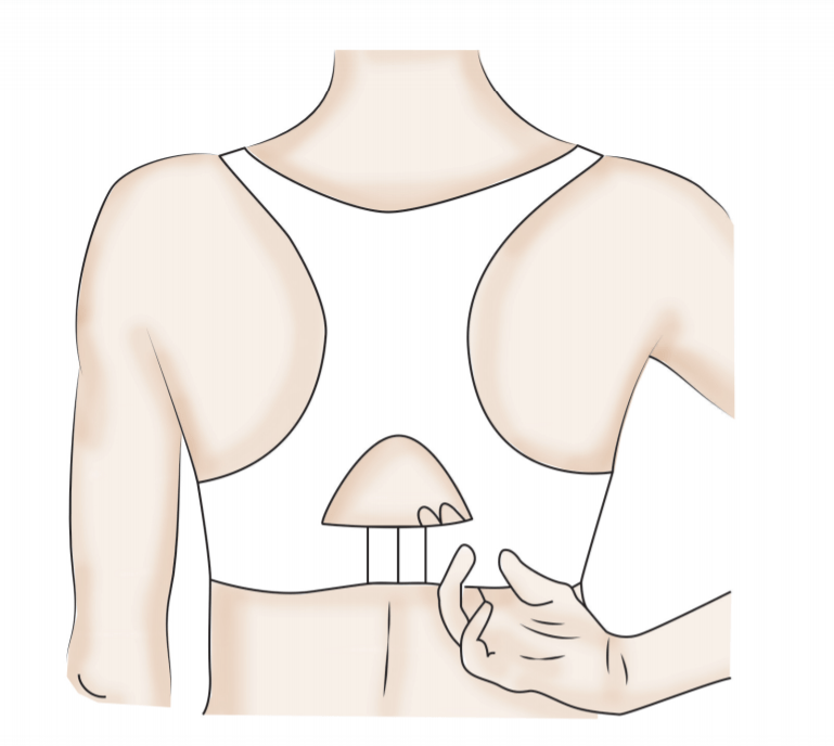 sports-bra-fit-correct